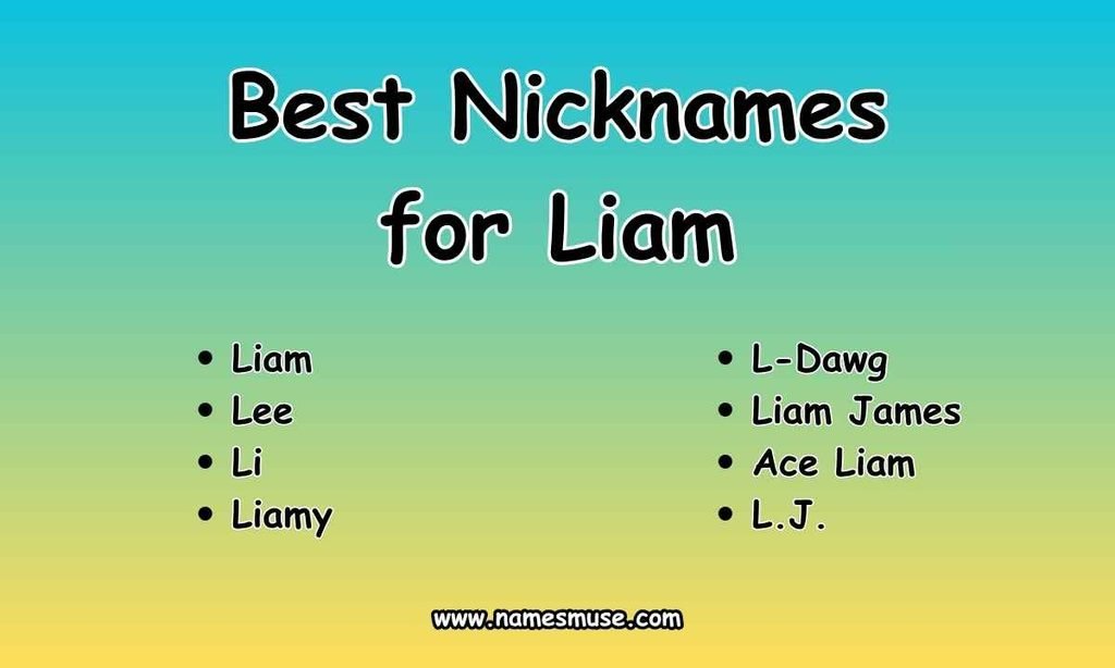 Best Nicknames for Liam
