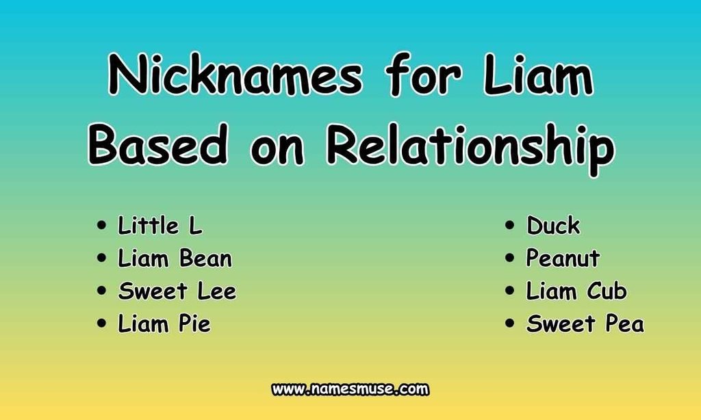 Nicknames for Liam Based on Relationship