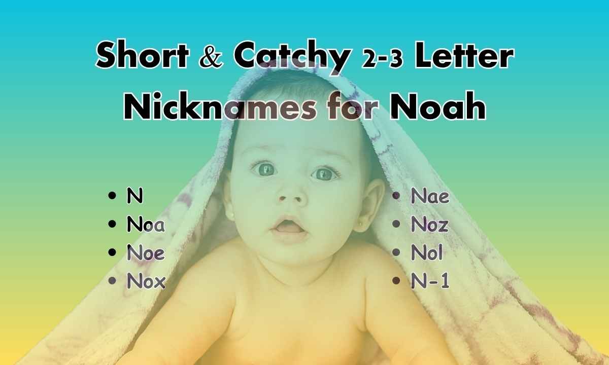 Short & Catchy 2-3 Letter Nicknames for Noah