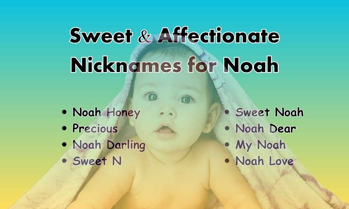 Sweet & Affectionate Nicknames for Noah
