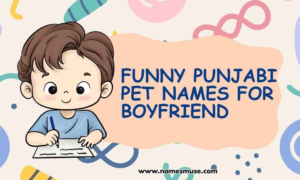 Funny Punjabi Pet Names for Boyfriend