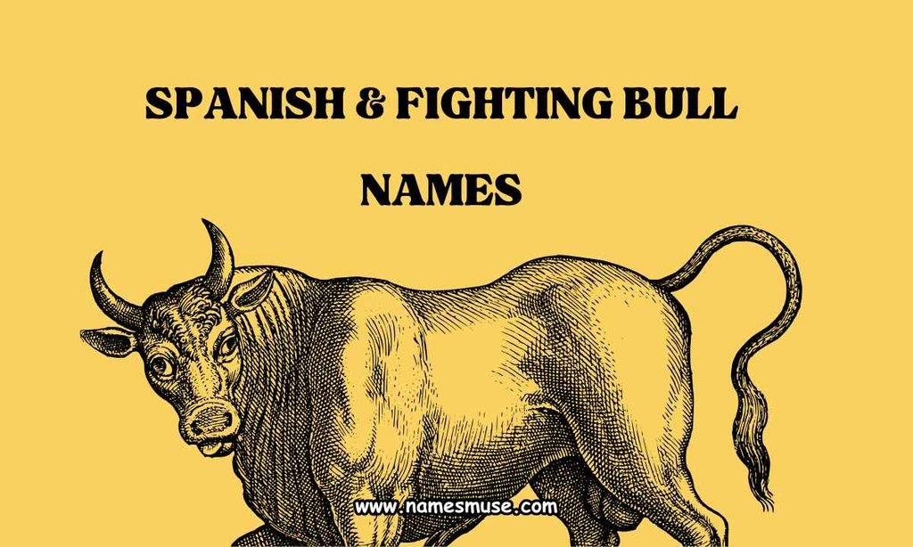 Spanish & Fighting Bull Names