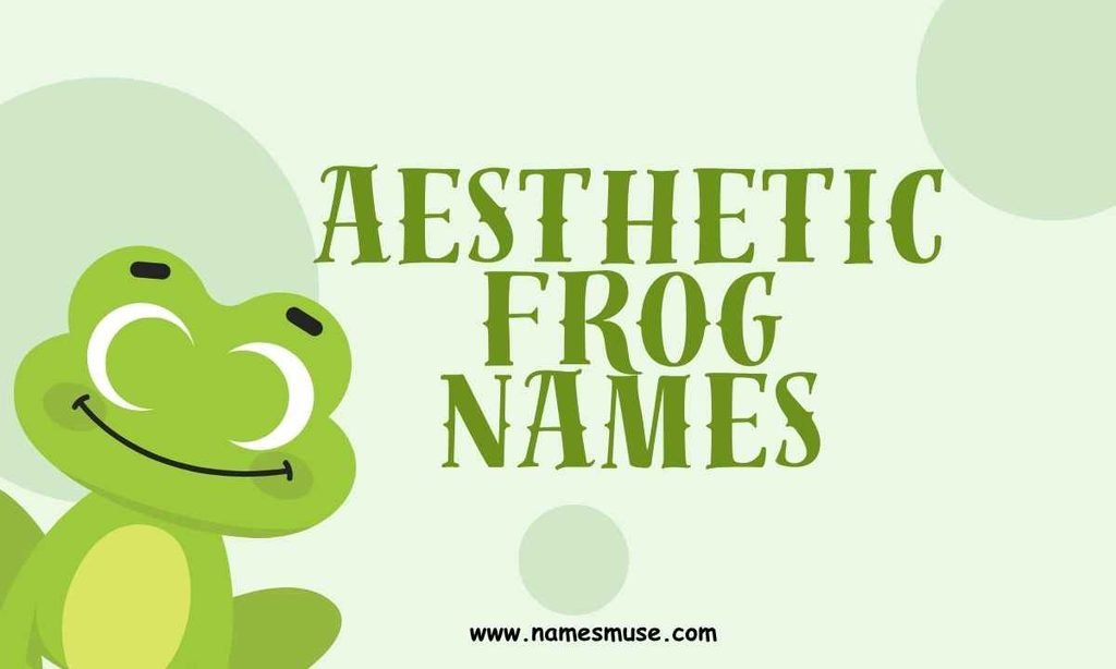 Aesthetic Frog Names
