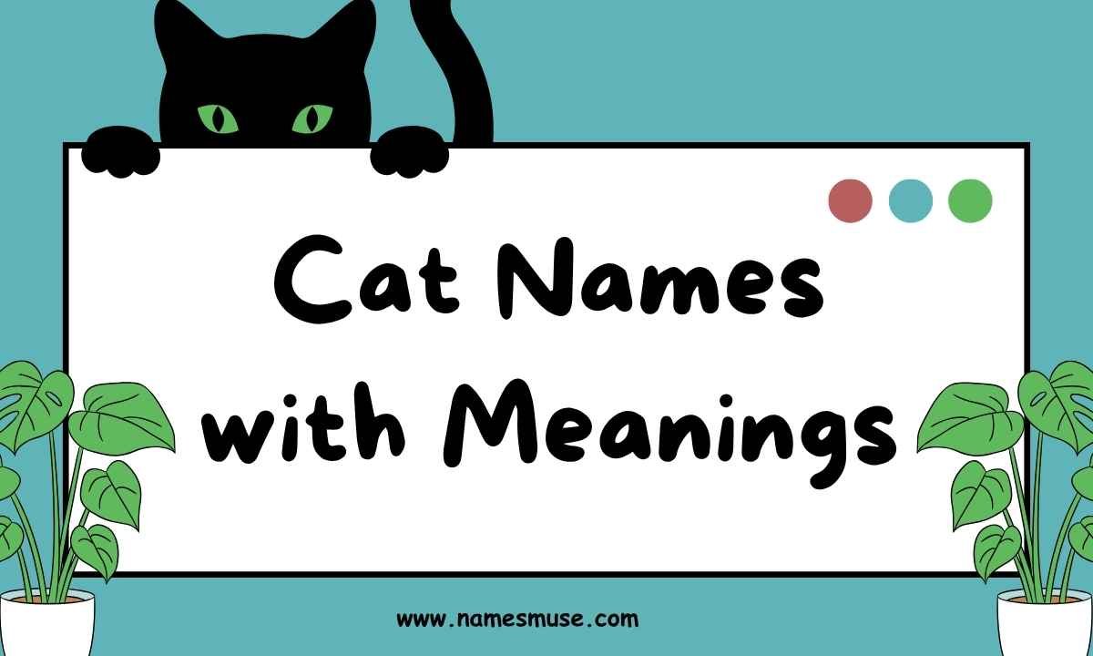 Cat Names with Meanings