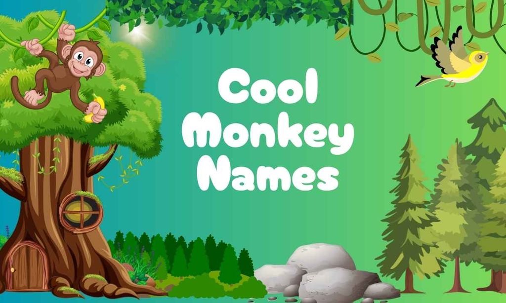 Cool Monkey Names