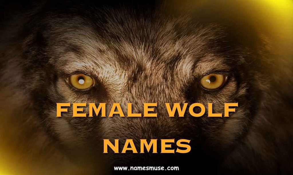 Female Wolf Names