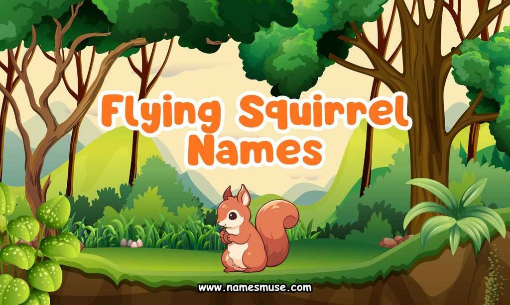 Flying Squirrel Names