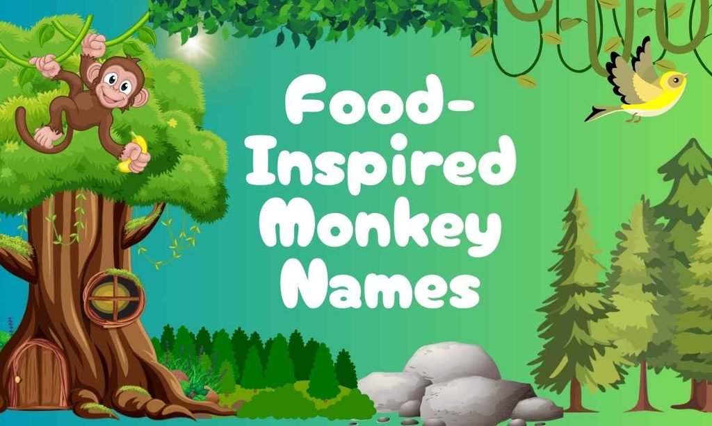 Food-Inspired Monkey Names