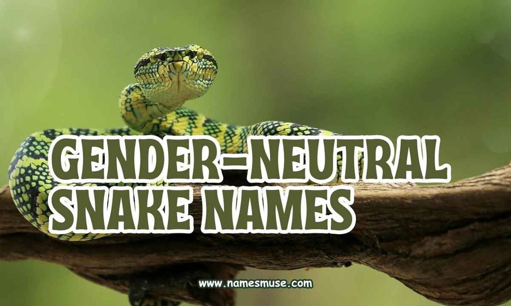 Gender-Neutral Snake Names