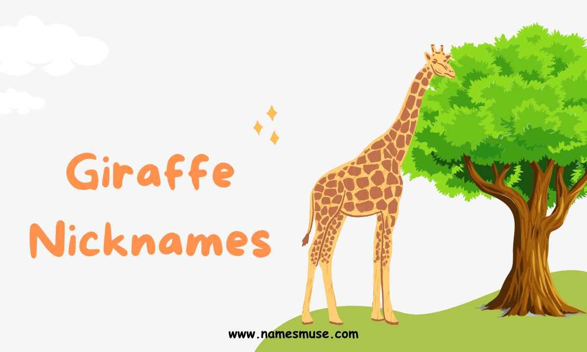 Giraffe Nicknames