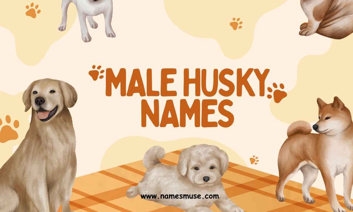 Male Husky Names