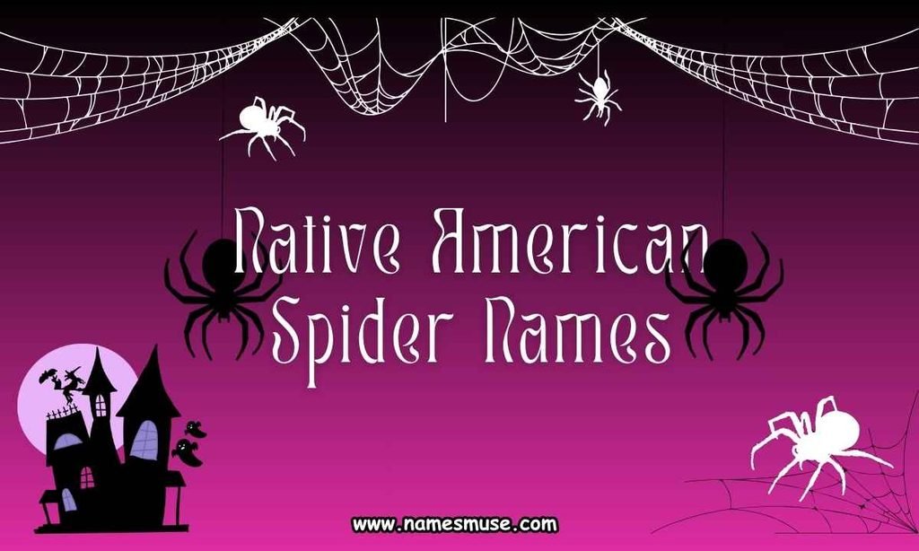 Native American Spider Names