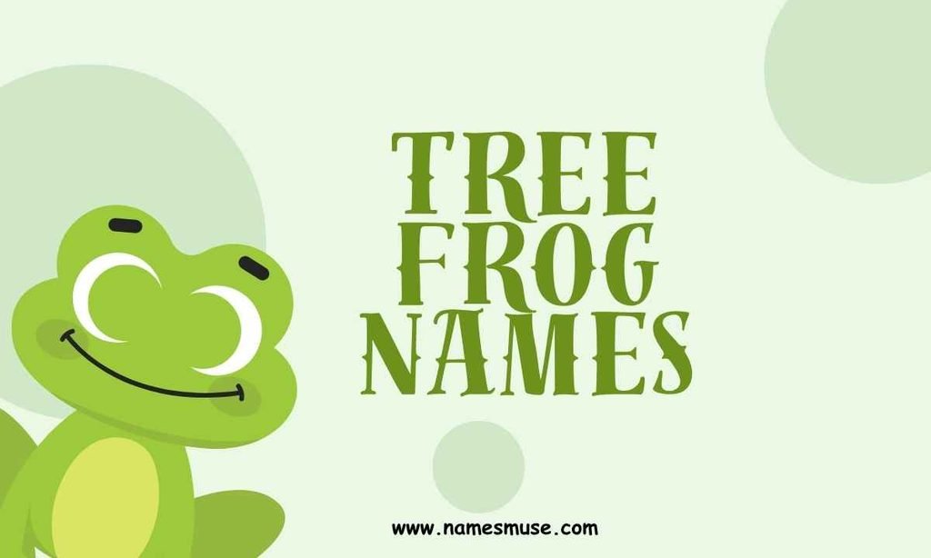 Tree Frog Names