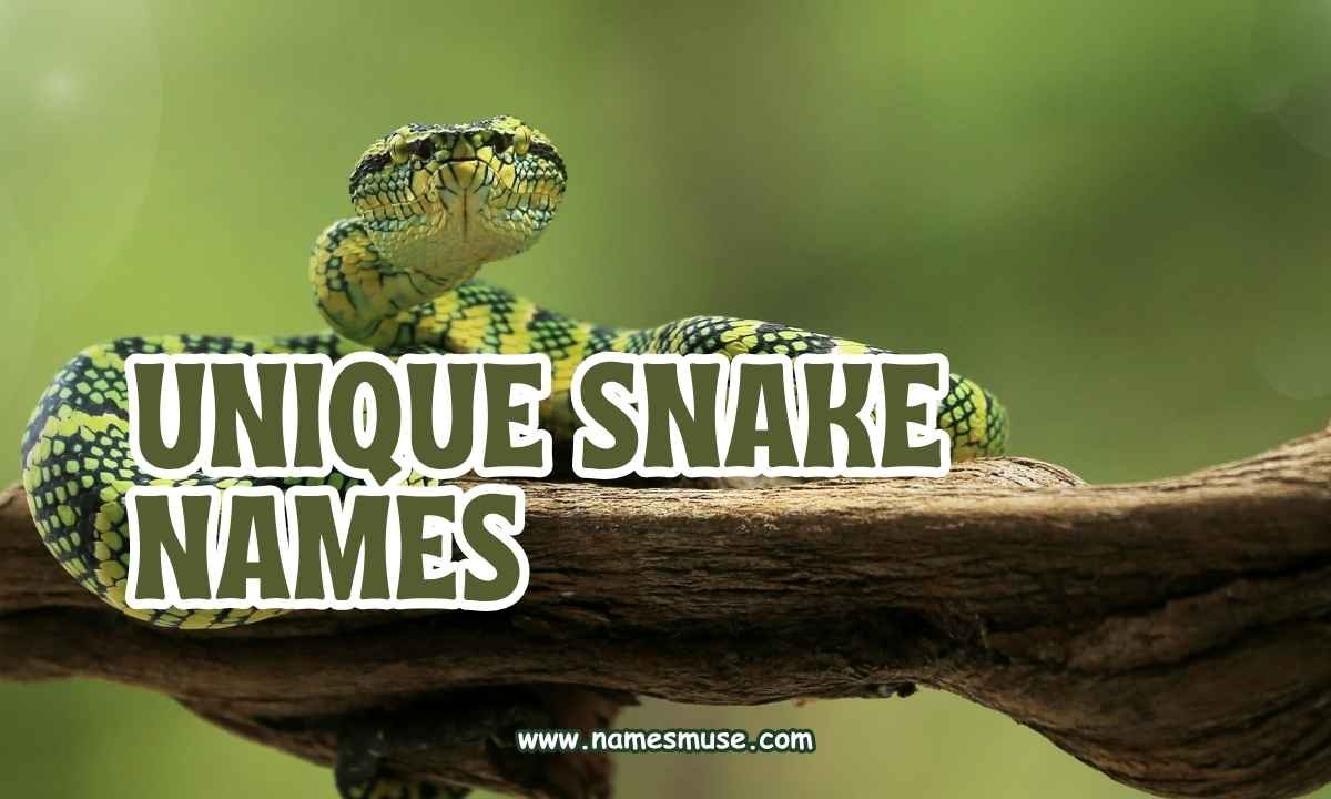 Unique Snake Names