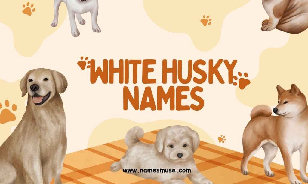 White Husky Names
