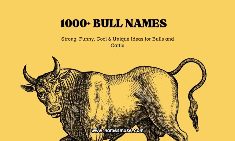 1000+ Bull Names Strong, Funny, Cool & Unique Ideas for Bulls and Cattle