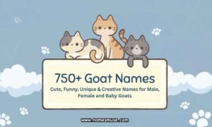750+ Goat Names Cute, Funny, Unique & Creative Names for Male, Female and Baby Goats