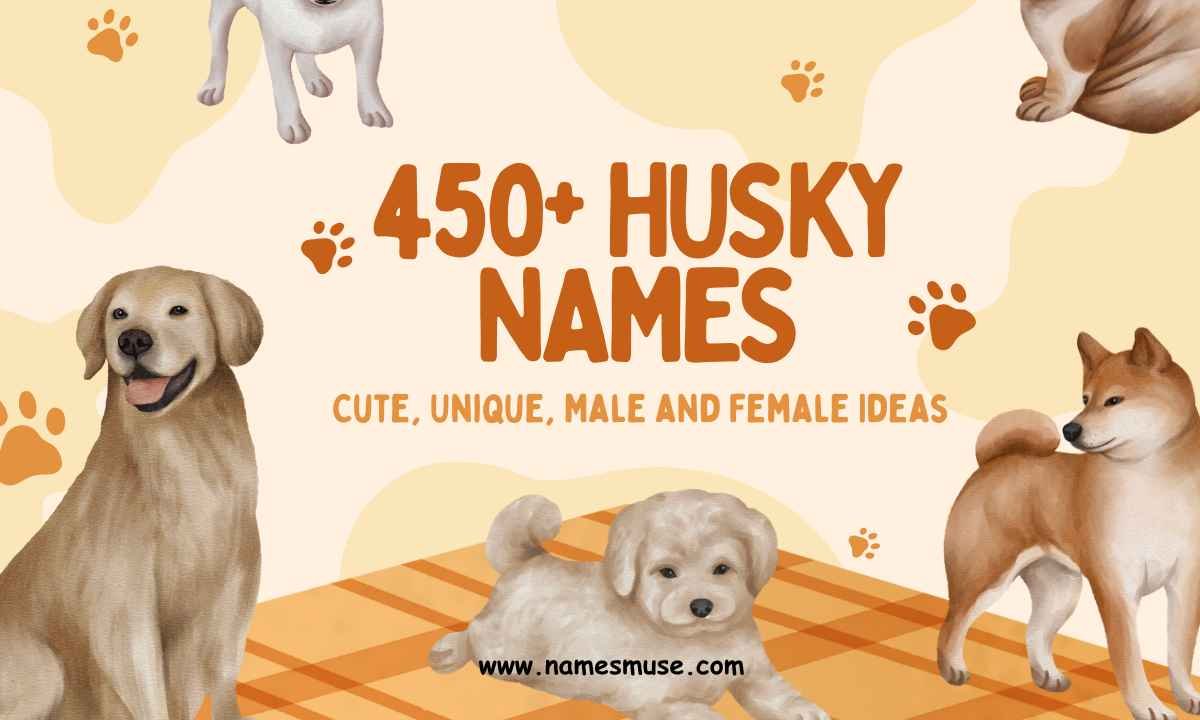 450+ Husky Names Cute, Unique, Male and Female Ideas