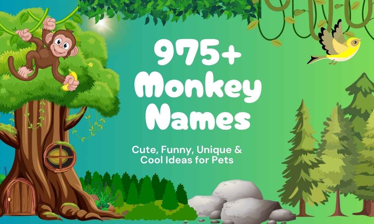 975+ Monkey Names Cute, Funny, Unique & Cool Ideas for Pets